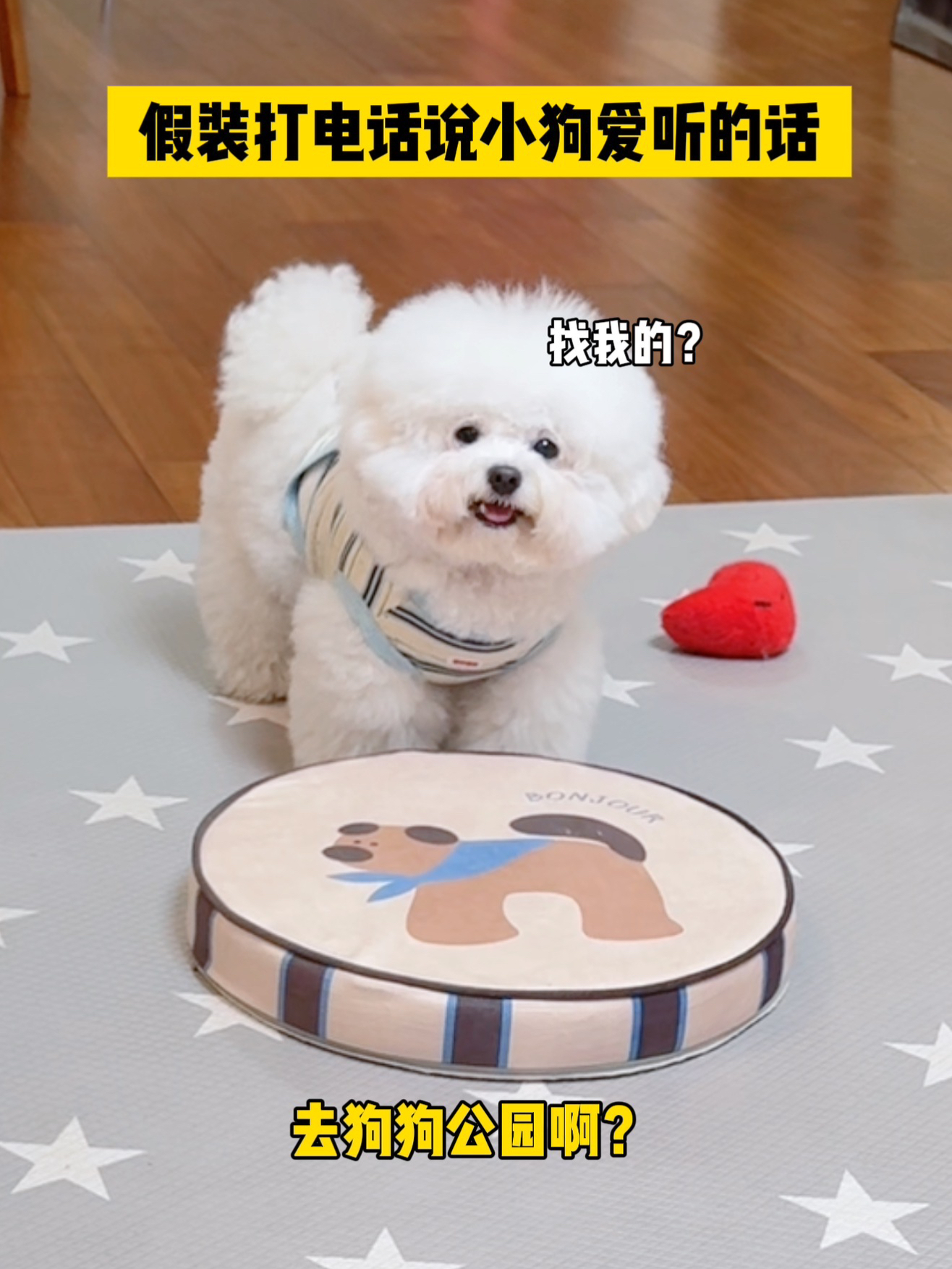 假装打电话说小狗的关键词