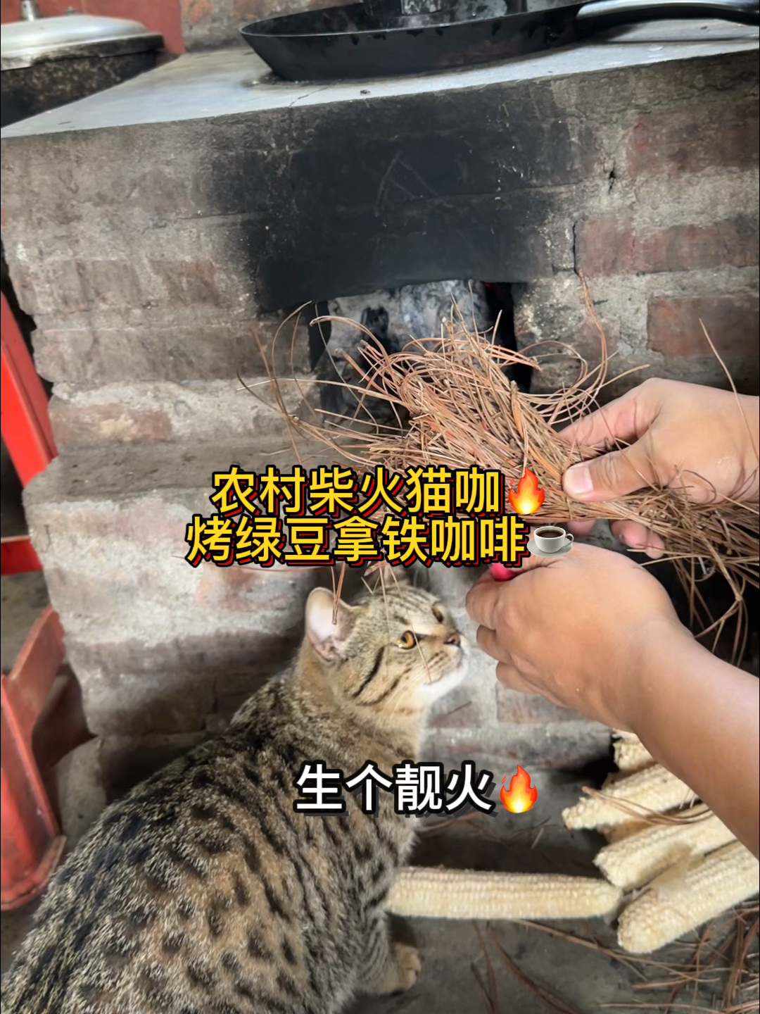农村柴火猫咖，烤绿豆拿铁咖啡