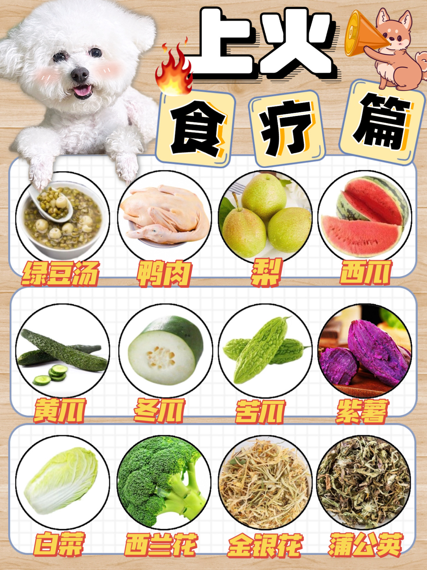 狗狗降火🔥食疗分享❗附上火症状自查表