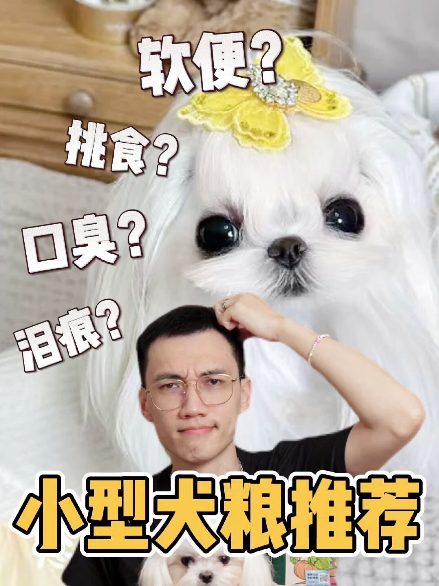 泪痕❓口臭❓挑食❓｜小型犬狗粮推荐