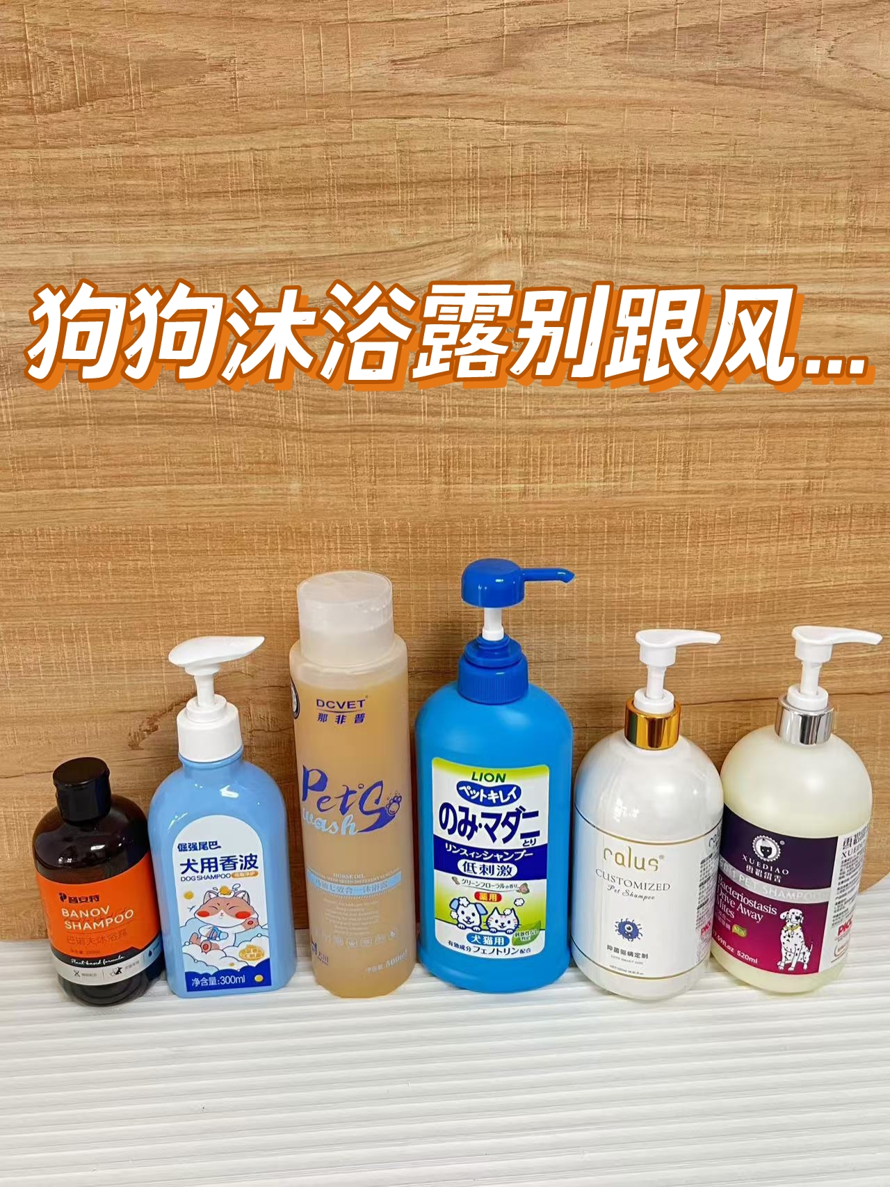 狗狗沐浴露挑选要点全分享 