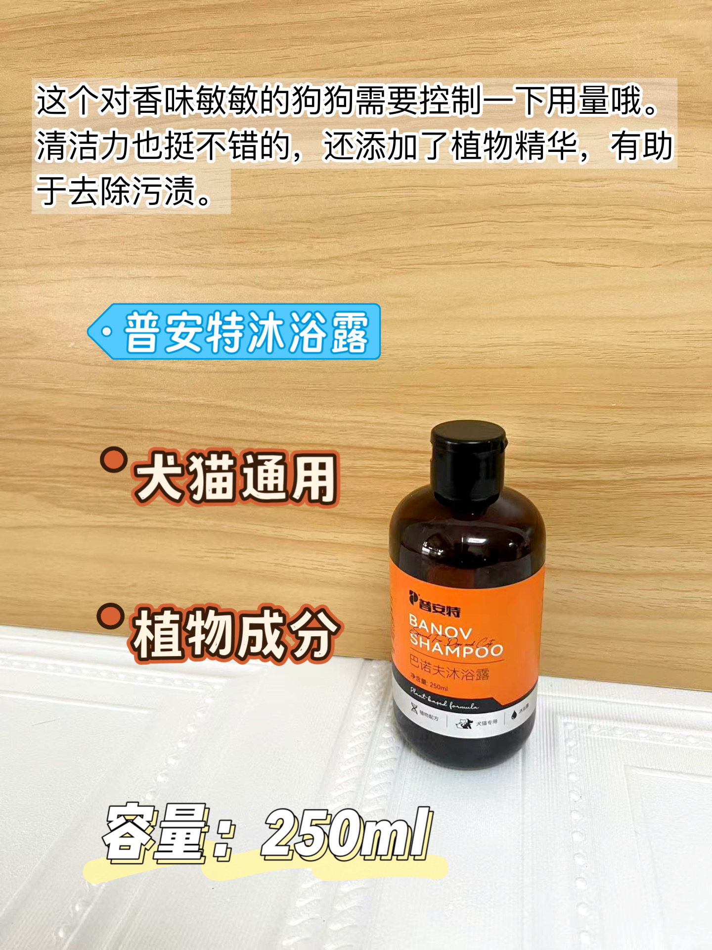 西五街