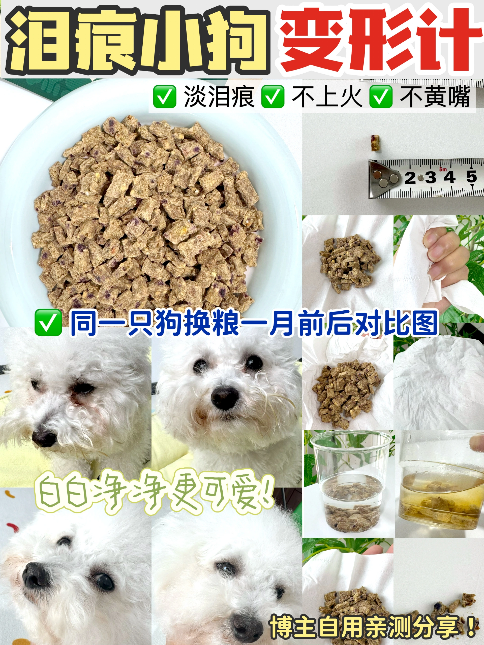 还在跟风买狗粮？不合适吃了都白搭！！