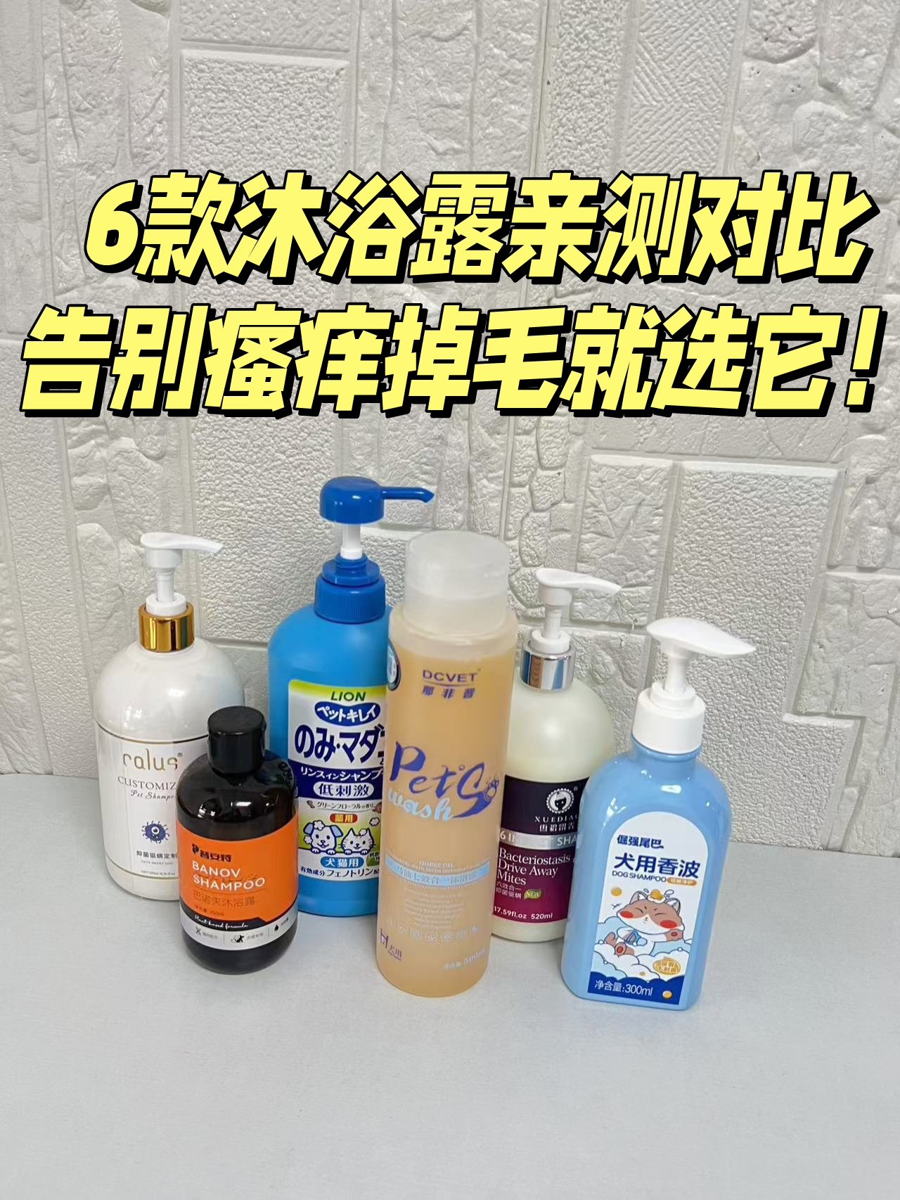 狗狗沐浴露挑选秘籍 