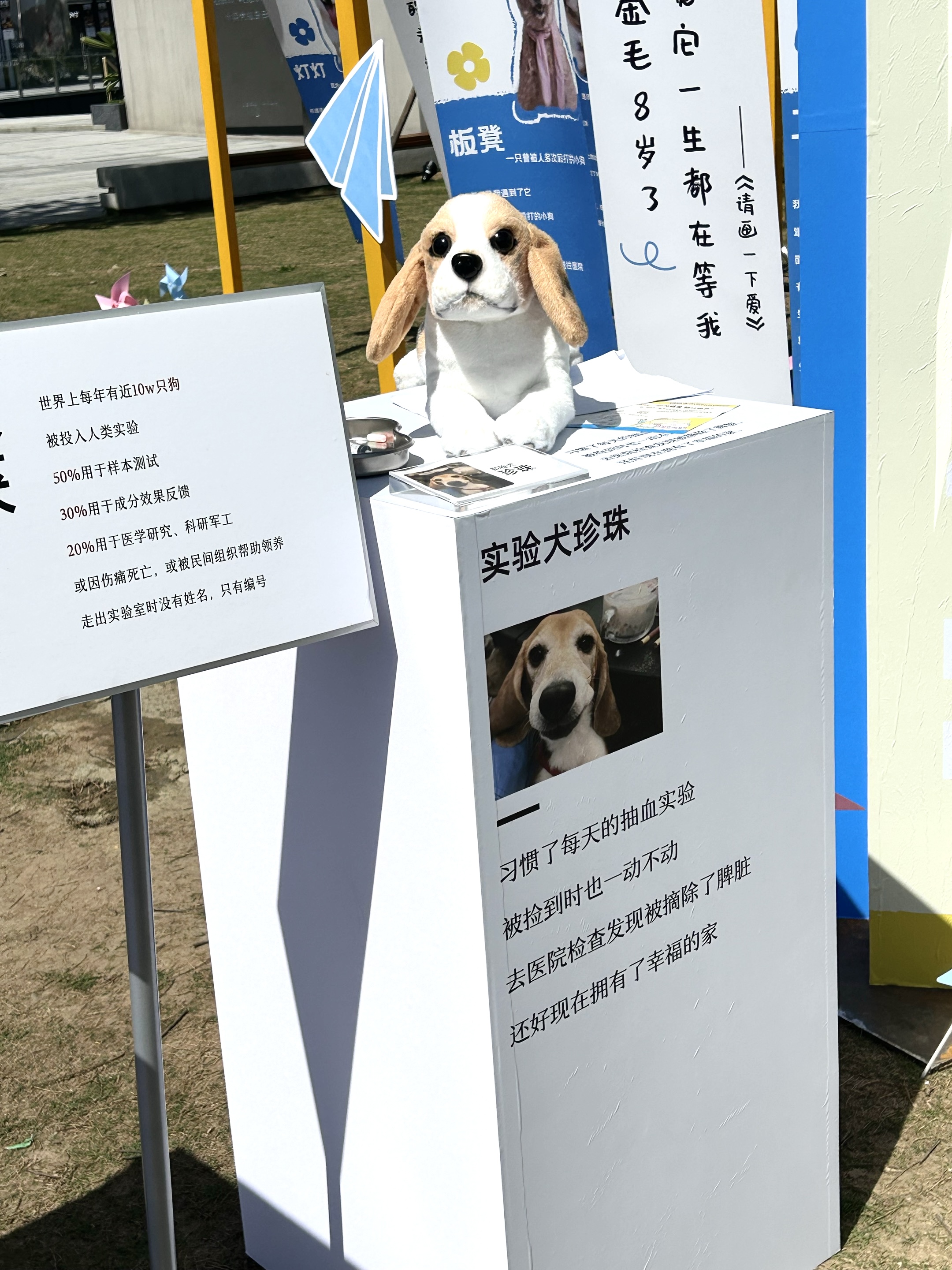 西五街