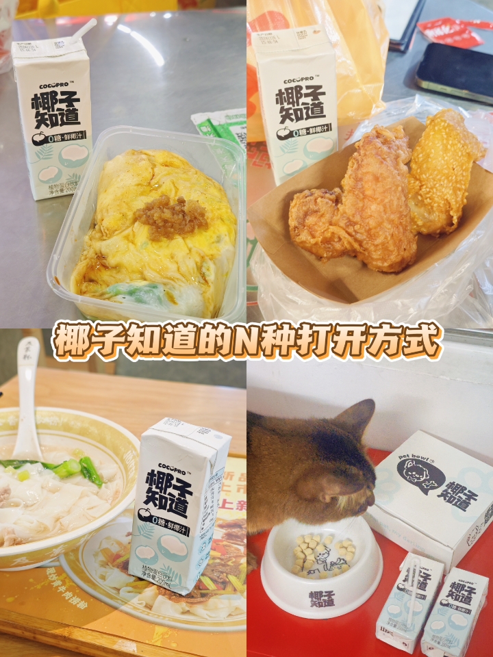 椰子知道的N种打开方式