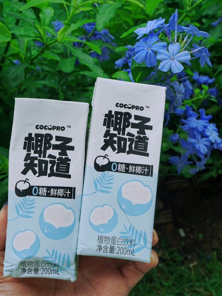 西五街