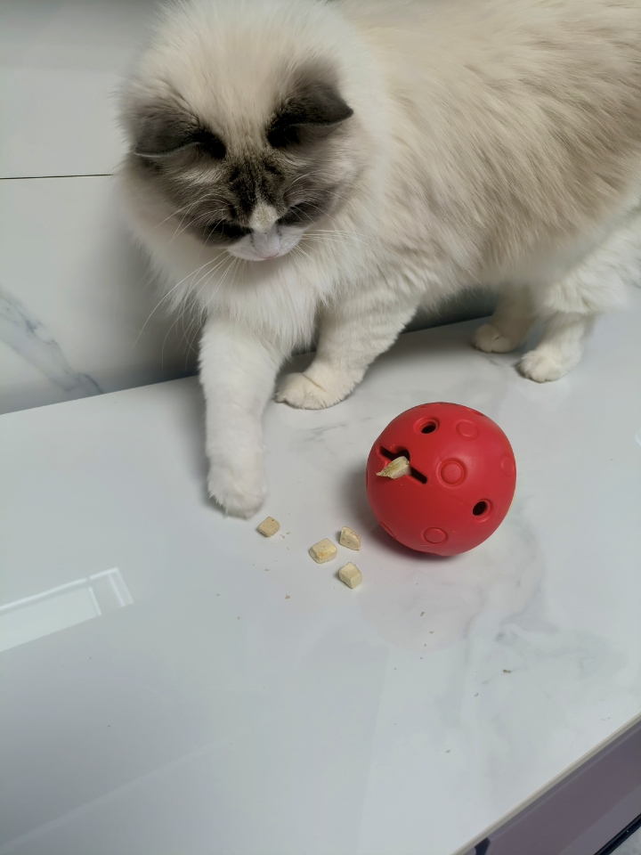 给狗狗设计的玩具，我家猫猫超爱玩！