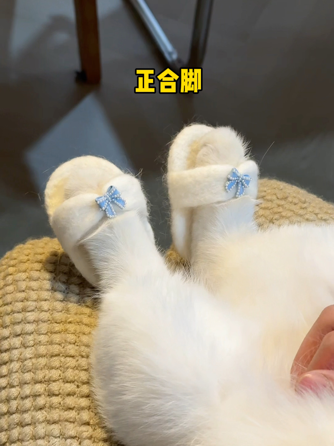果蔬鞋子和猫毛鞋子哪个很好看？