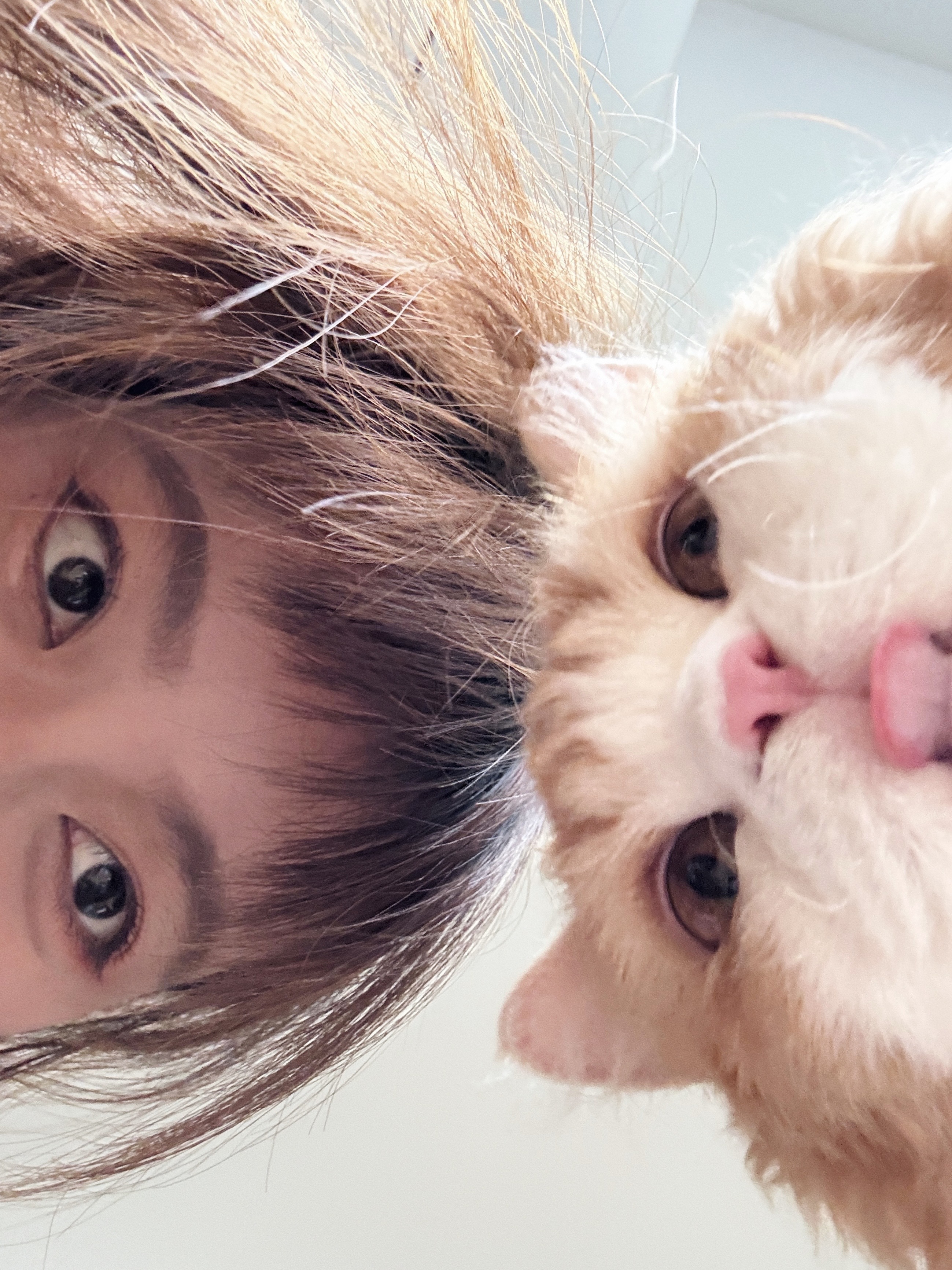 猫猫对你发出自拍邀请🤳🏻