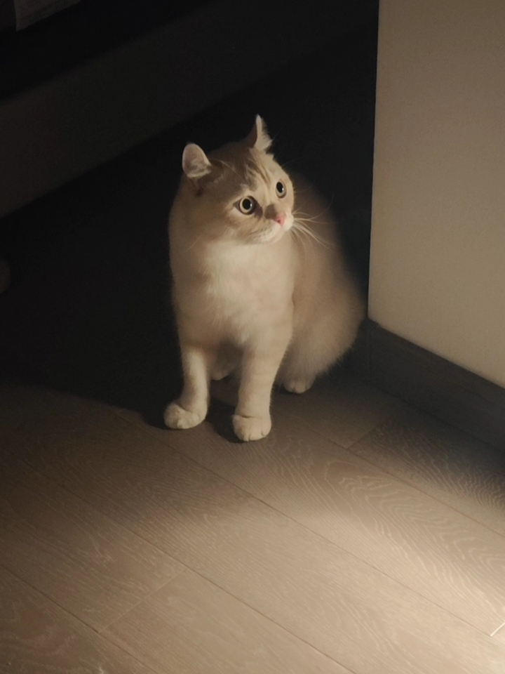 西五街