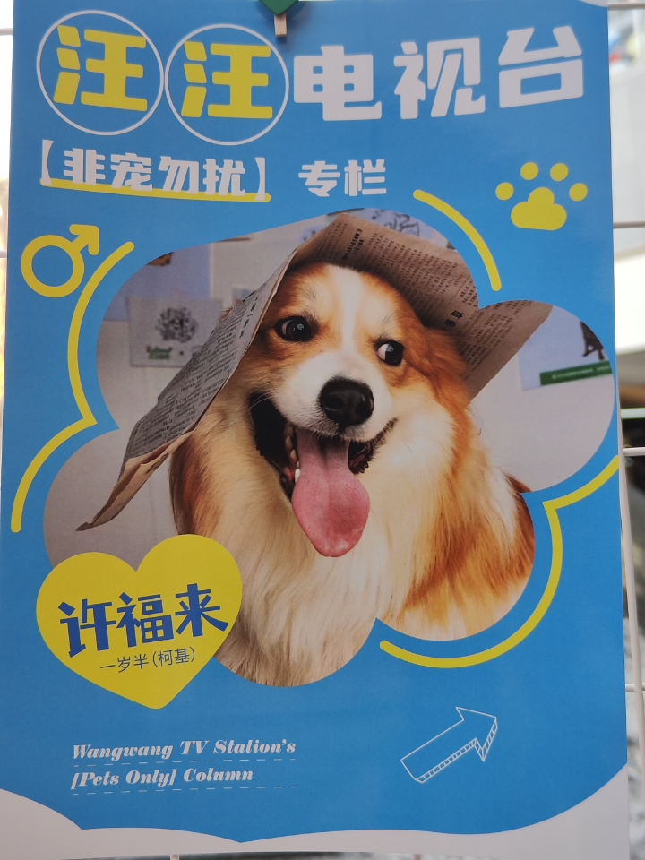 西五街