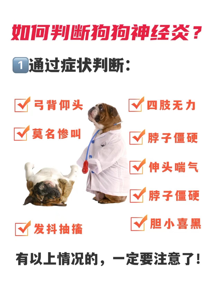 狗狗神经炎是指神经或神经群发炎衰退或变质其症状随病因而有所相同不同一般症状是疼痛触痛刺痛受感染的神经痒痛和丧失知觉感染部分红肿以及严重痉挛。狗狗神经炎是一种较难治疗的疾病，症状也会多种多样，病因也会有很多种，如果发现家里的狗狗不太正常了，还是要去医院做专业的检查，对狗狗进行治疗，治疗狗狗神经炎的话可以给狗狗吃b1、b12和复元定片来治疗，同时搭配营养均衡的饮食来增强狗狗自身的免疫力。