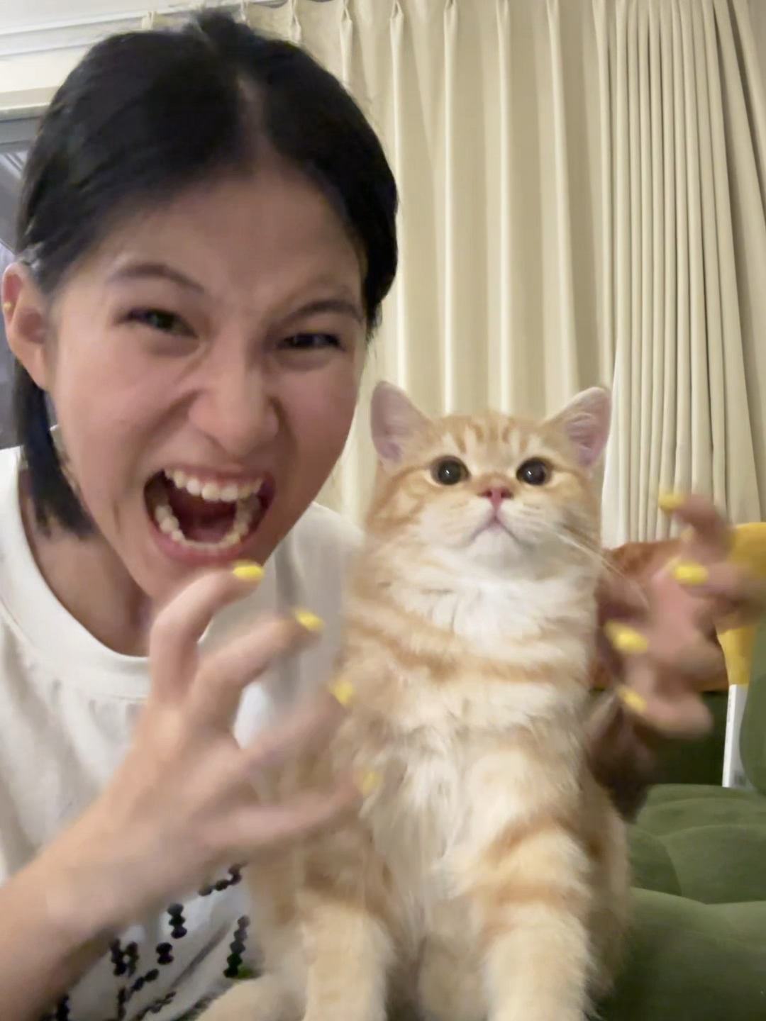 猫儿这个萌
