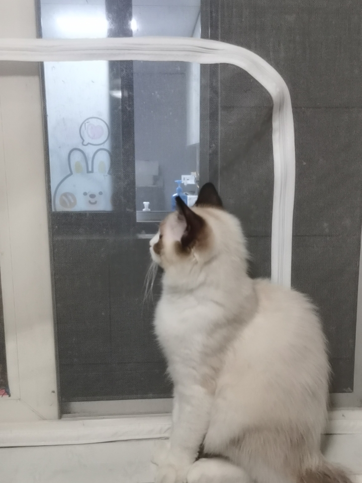 哈哈哈