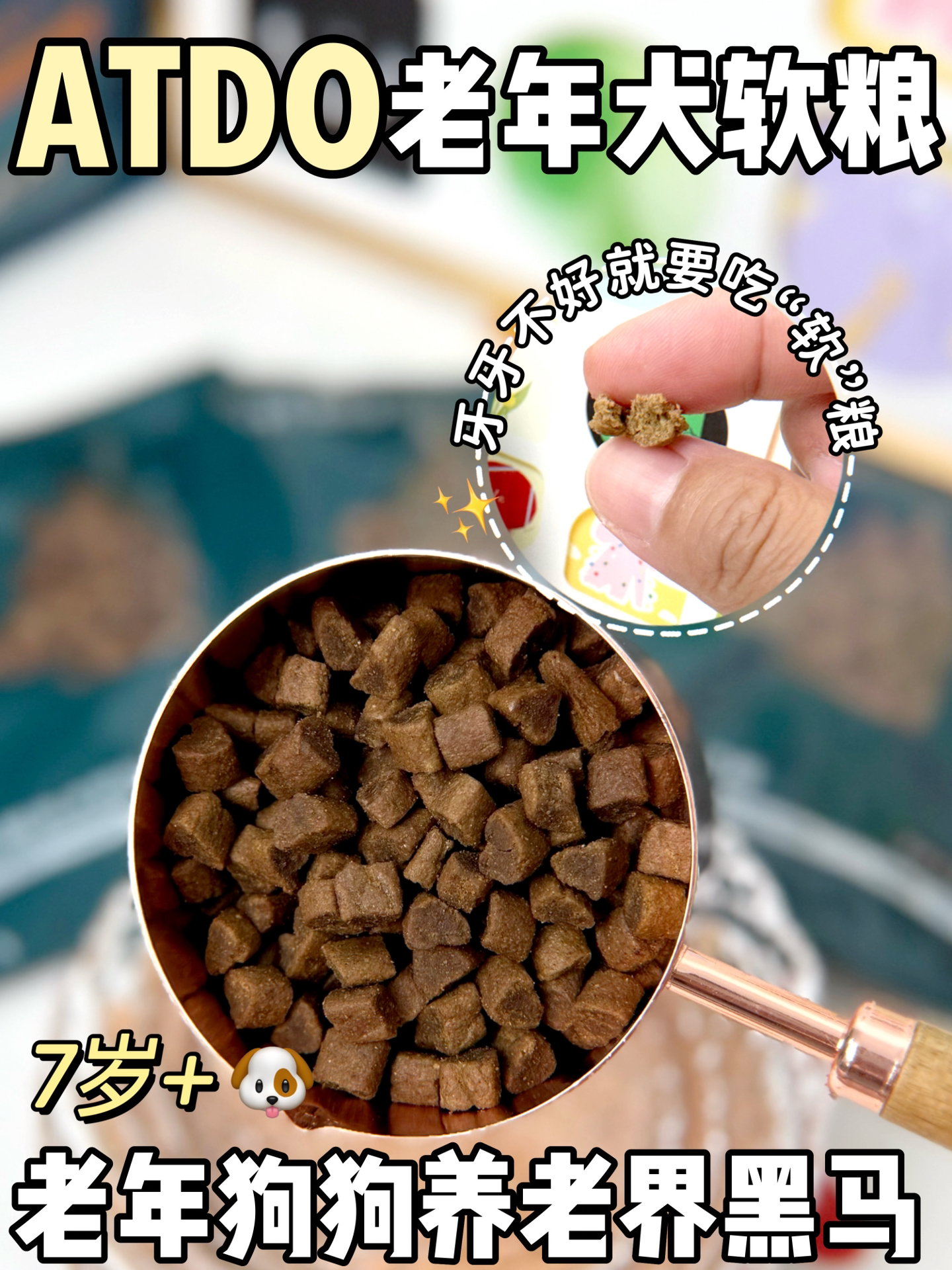 牙齿不好，肠胃不好的老年犬就要吃软粮