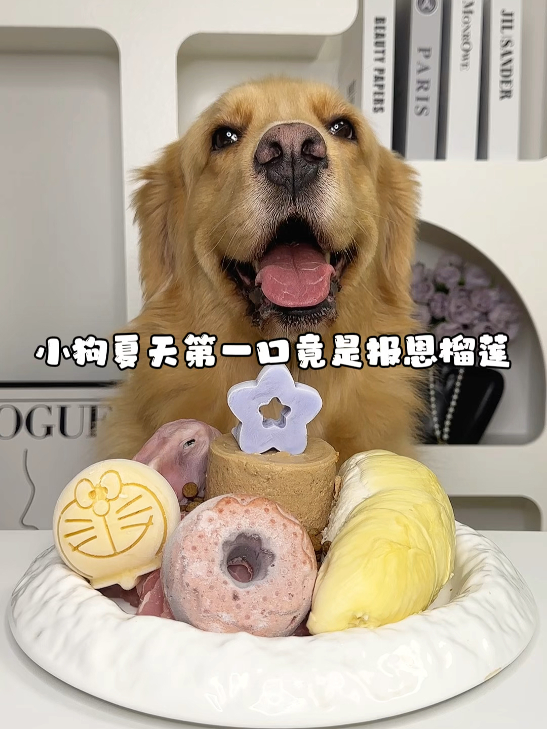 小狗夏天第一口竟是报恩榴莲！？