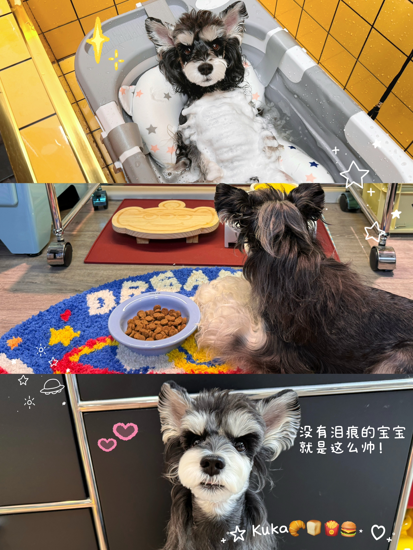 社恐星人6:00AM自助浴场洗狗的高能量vlog🎋