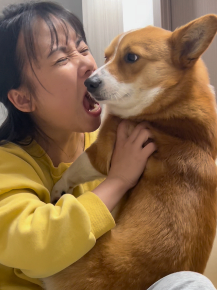 哪有铲屎官不爱吸狗的啊，一只不够就吸两只！