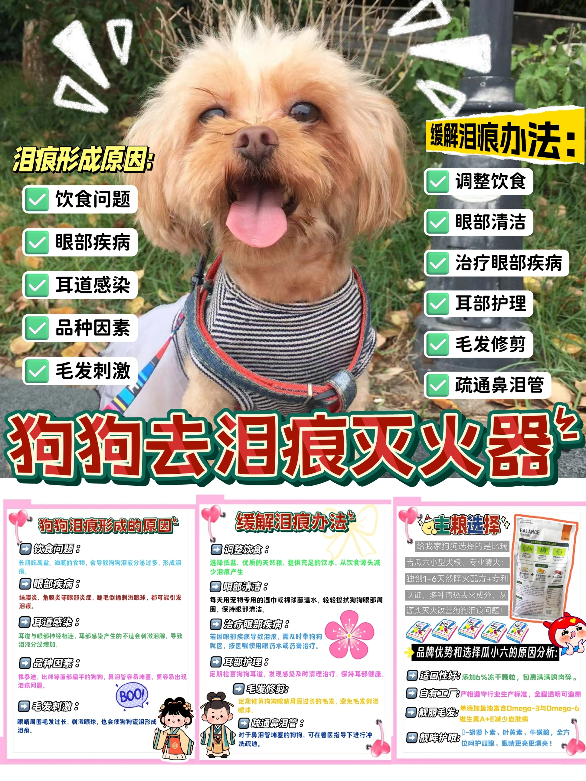 集美们～挖到狗狗去泪痕的“灭火器”狗粮了