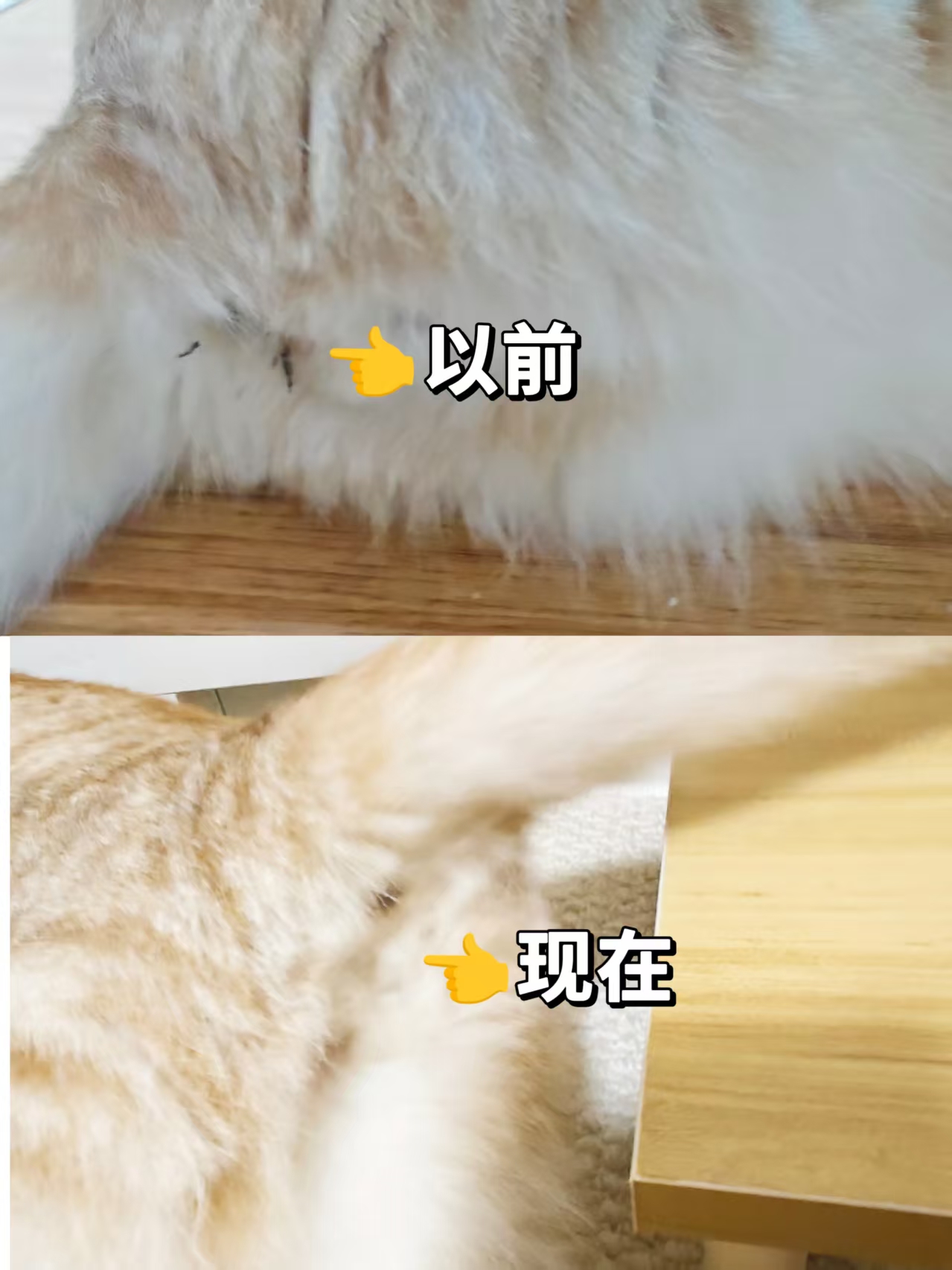 西五街