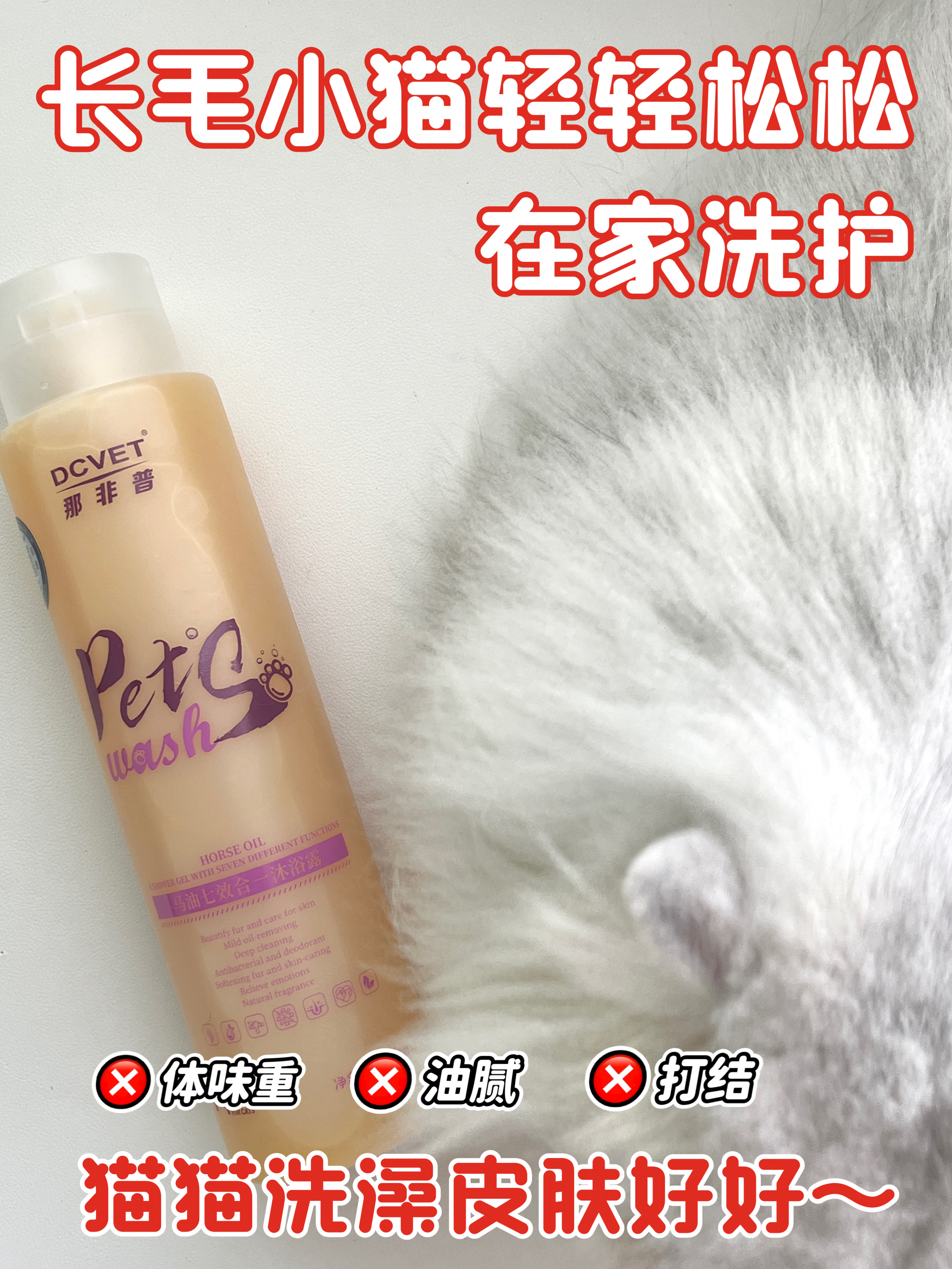 🐈‍⬛长毛小猫在家也能轻松洗澡
