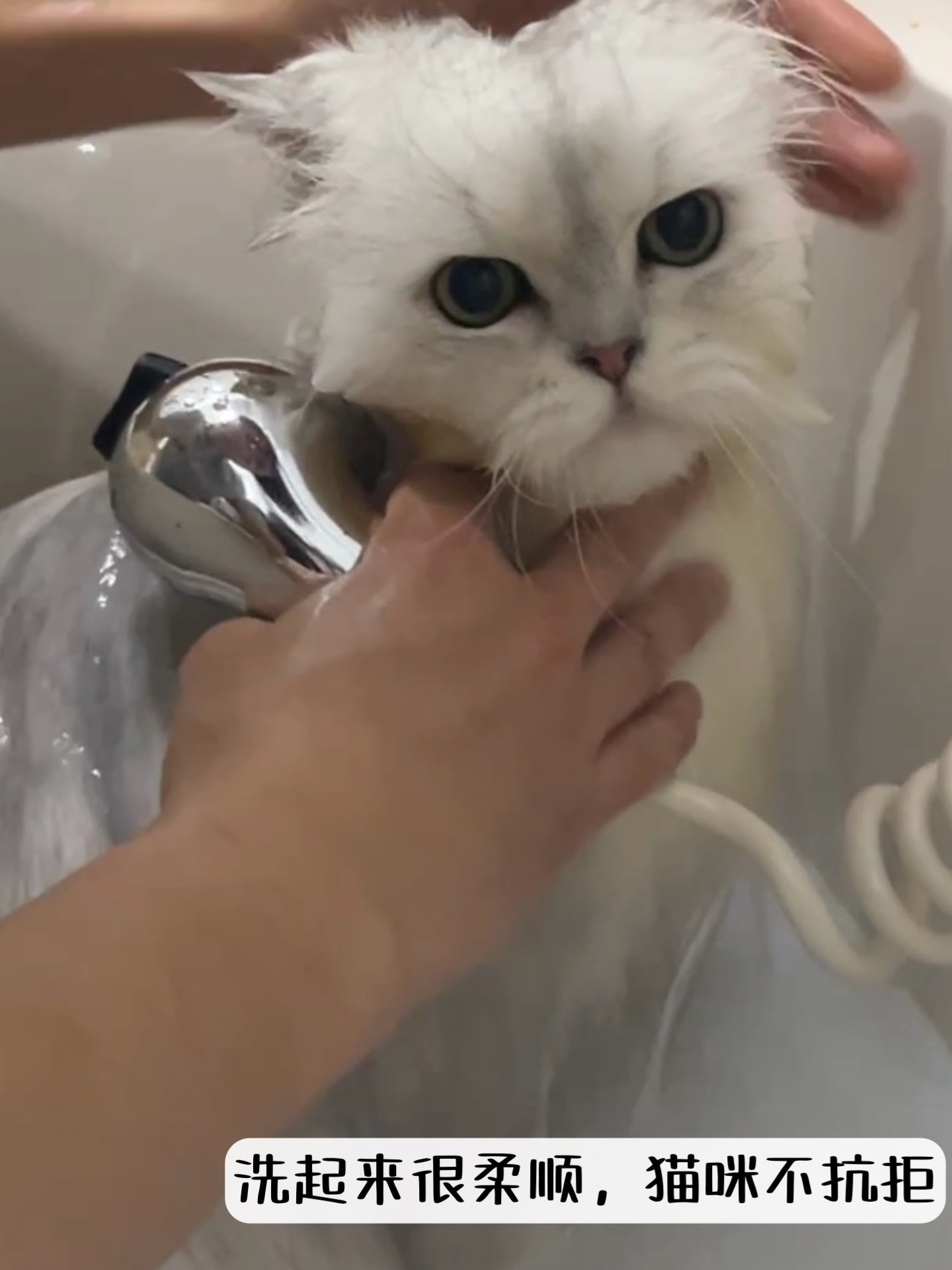 西五街