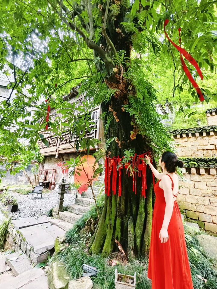 人挤人端午节，没想到我在凤凰古城拍到了人生照片 步入清溪禅院，千年古树、溪水锦鲤、古色古香氛围感满满。店主养了一狗一猫，煞是可爱。 以中式禅意与日式庭院相结合，庭院山水环绕，远离喧器，站在阳台上，俯瞰园林美景，坐拥诗意景致，非常惬意。