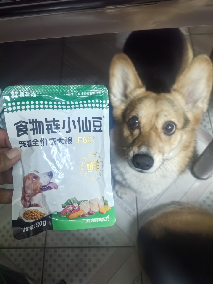 小仙豆，毛孩子的“食”光宝藏