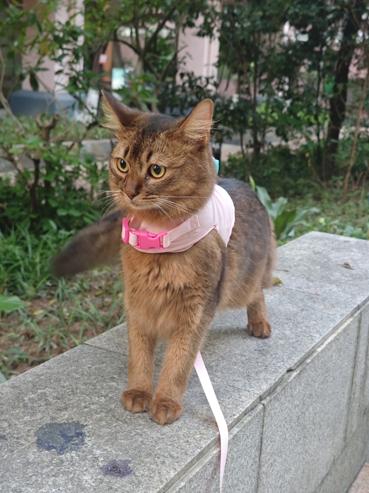 西五街