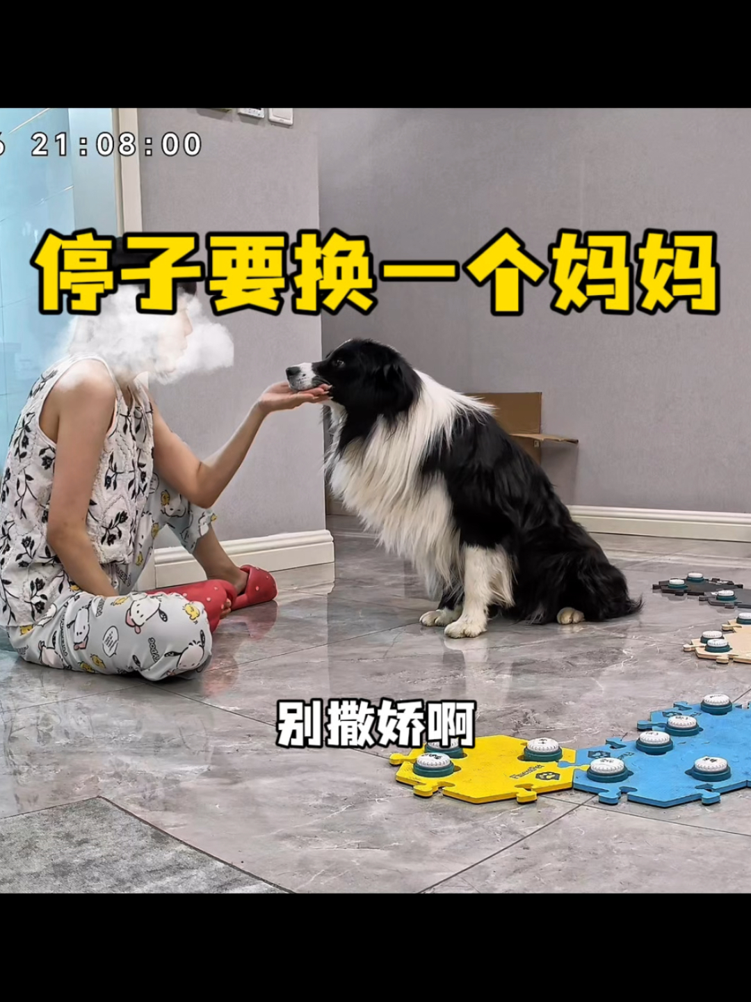 海盗：跟着停子混，情商蹭蹭的提高啊！！