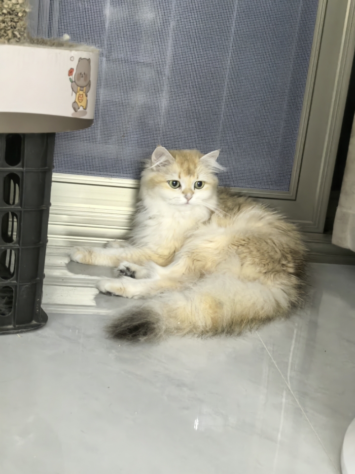 18看什么呢