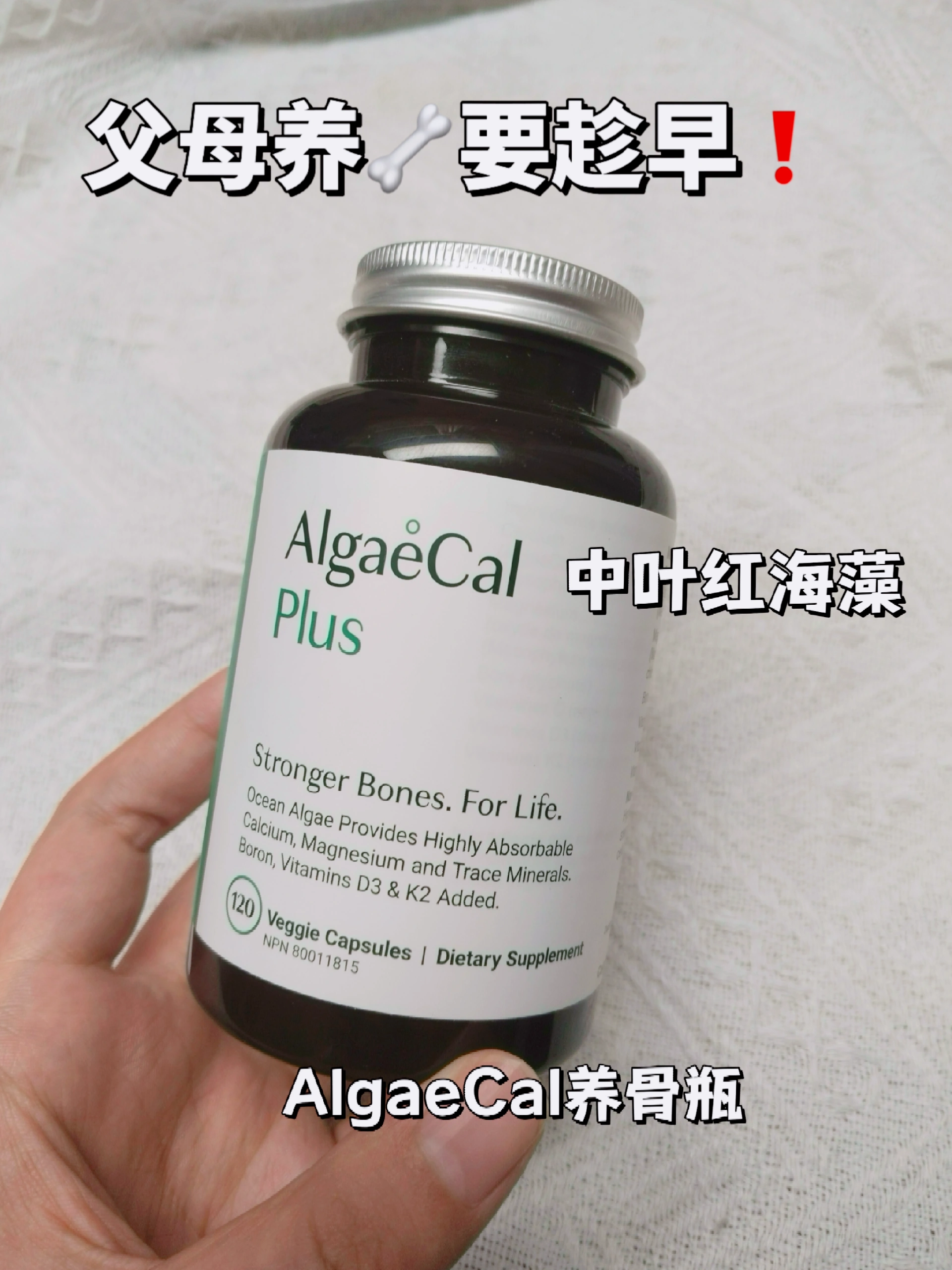 谁还没给妈妈囤这个养🦴宝藏，我真的会谢