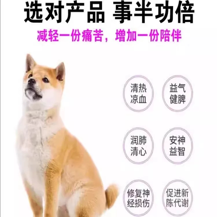 猫咪忍痛能力很强，但它的身体情况也会给你一些暗示。许多情况需要我们养猫人细心发现！要学会观察！！ 1.软便拉稀：泌通定片，消化不良，或肠胃炎，注意观察，吃东西也没精神就去宠物医院 2.消瘦，肚子大，有可能是猫传腹，去医院检查，主打倍抗+441 3.猫碗要准备两个，一个装粮一个装水，陶资材质的不容易黑下巴 4.猫砂买买豆腐砂或者混合砂，防止小猫误食 5.眼睛有分泌物，眼睛大小眼，发炎了 6.猫咪尿尿...
