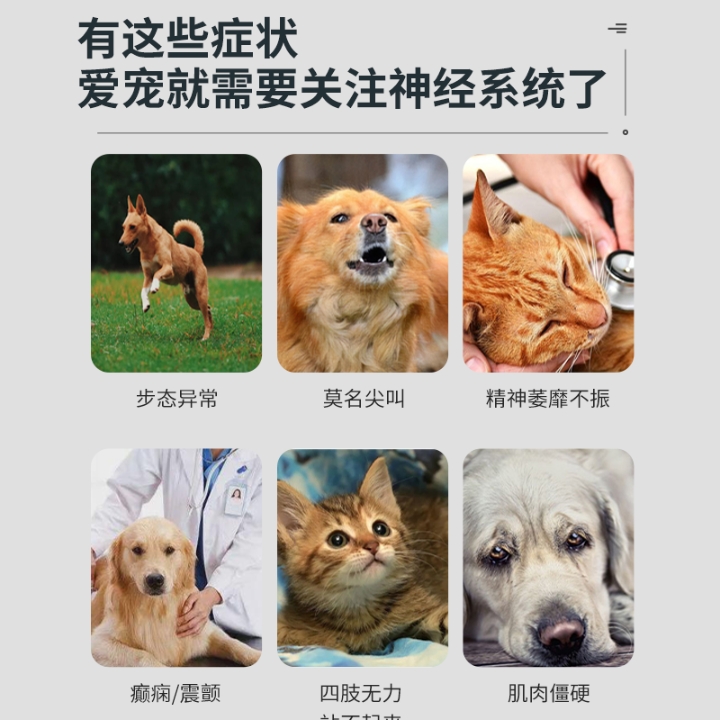 在神经炎的治疗上，一般是通过打针来缓解症状。如果要使用药物，可以用甲钴胺、维生素B1、维生素B12、复元定片+活络丸+甲钴胺片等神经营养类药物，要注意的是，上述的治疗方法是临床上常用的，但不一定适合每只狗狗的病情，主人在给狗狗治疗的时候，要多和医生沟通，选择针对狗狗病因的治疗方案。