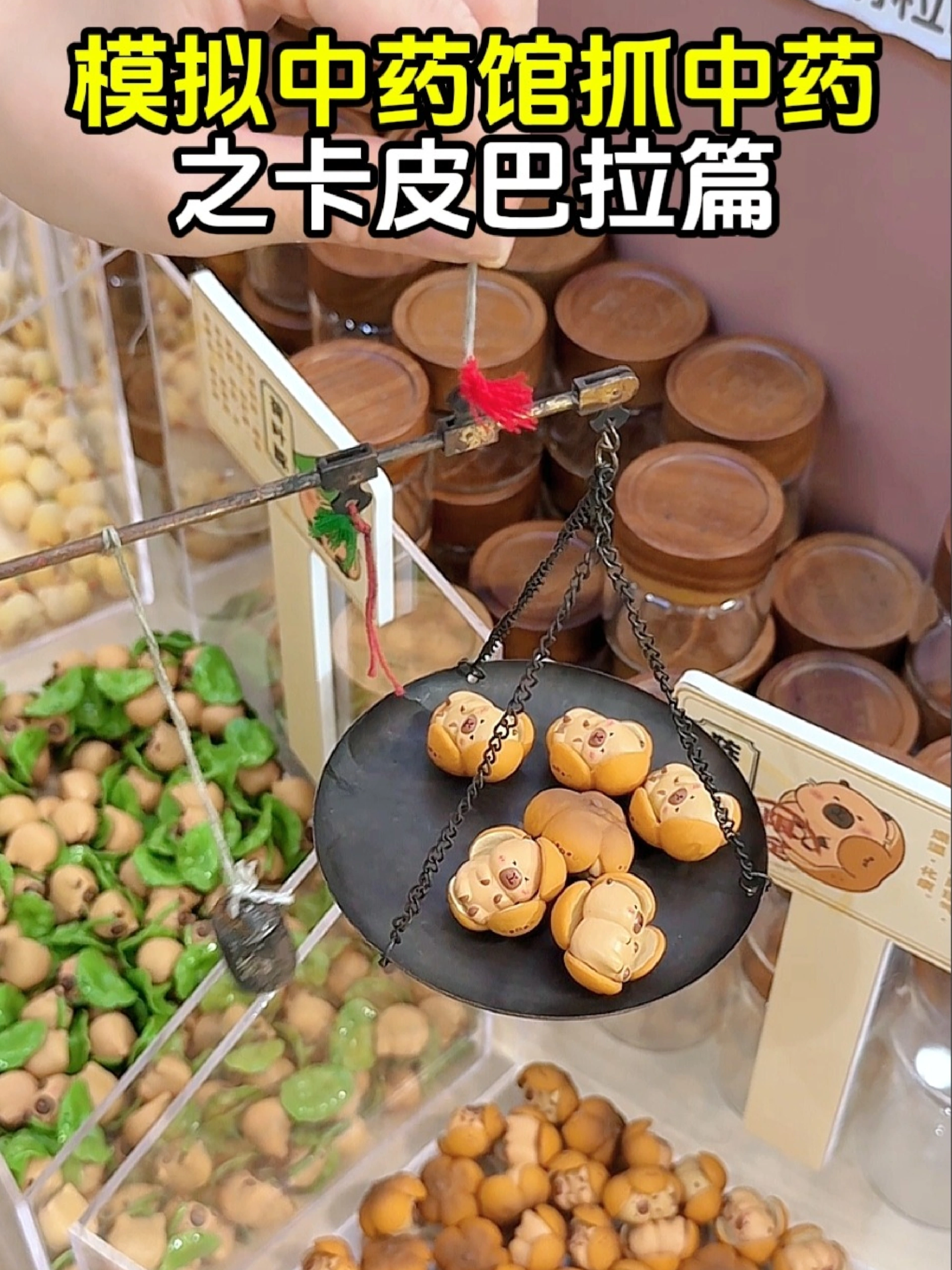 模拟中药房抓中药之卡皮巴拉篇！