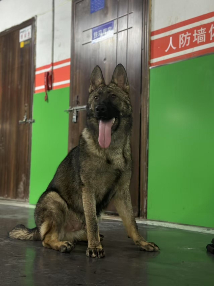 西五街
