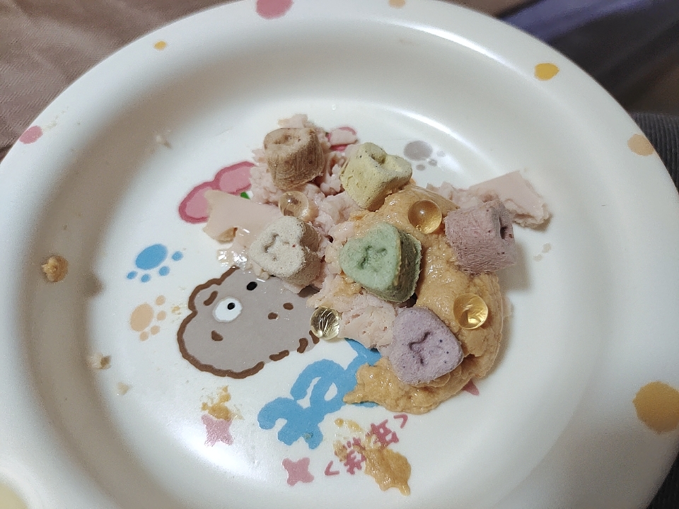 猫咪新餐具试用——布丁妹妹宠物碗