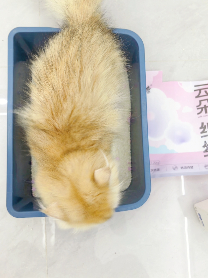 西五街
