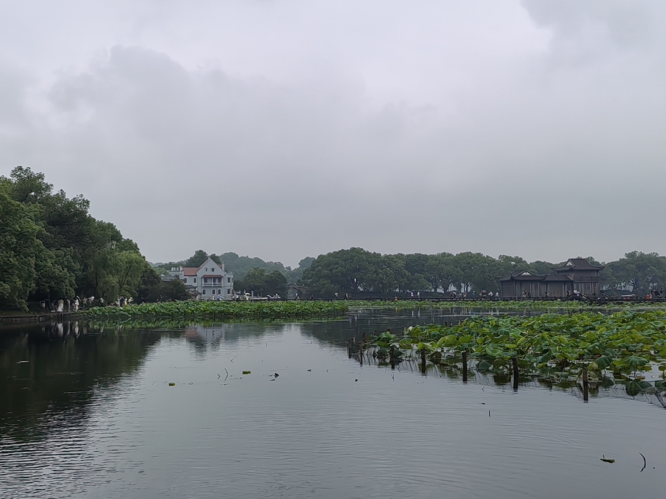 梅雨季来西湖赏荷，全是大聪明！