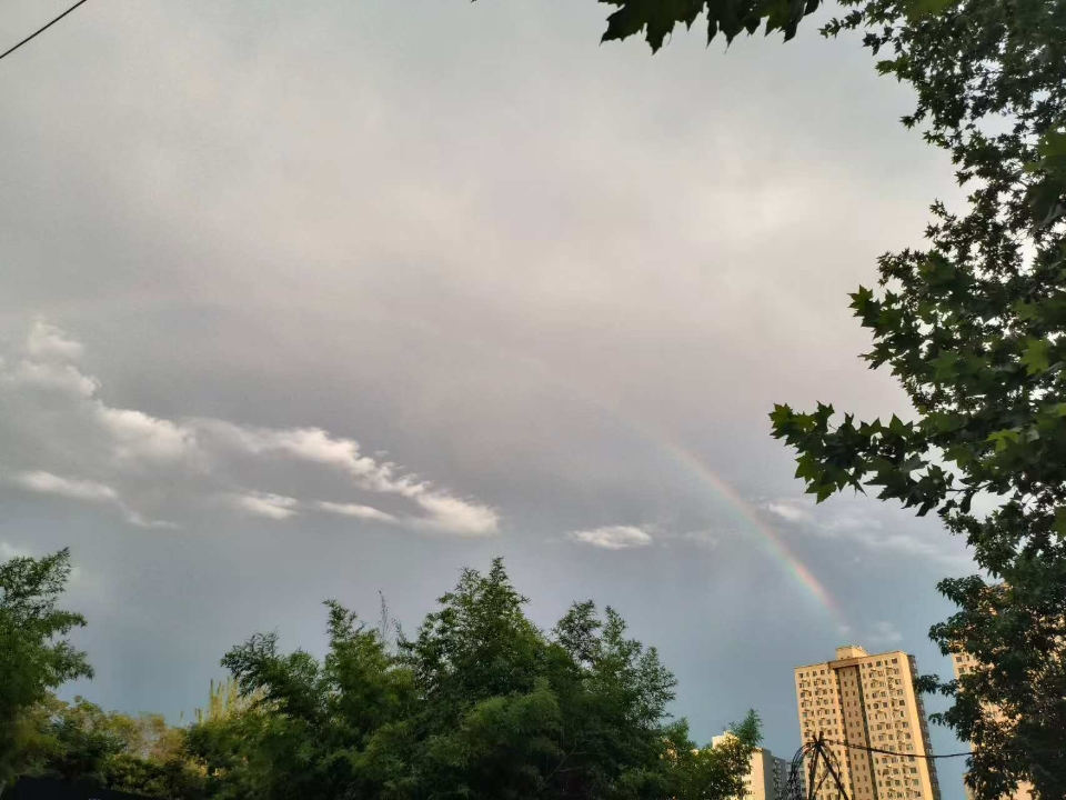 雨过天晴，天上挂了彩虹，希望流浪的毛孩子都能雨过天晴，每天吃饱睡好，不被欺负。