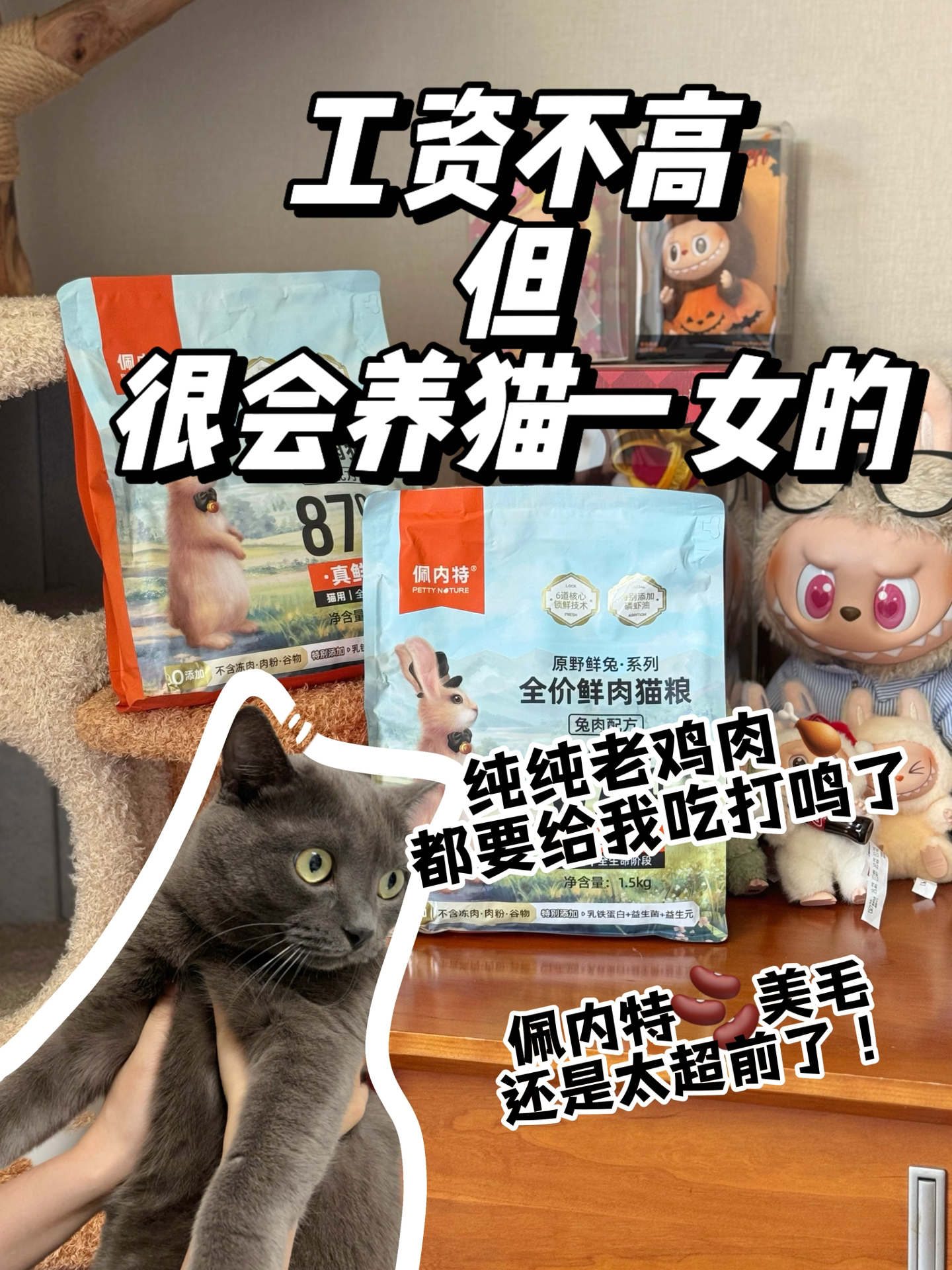 佩内特美毛还是太超前了！