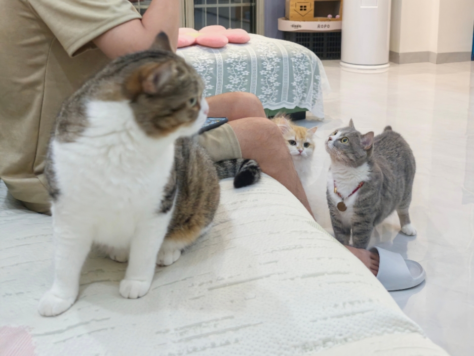 2果然是一家人
