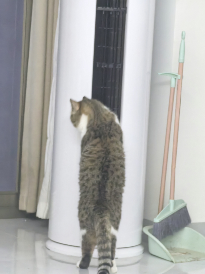 西五街