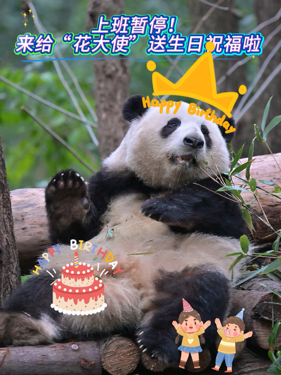 上班暂停！来给“花大使”送生日祝福啦