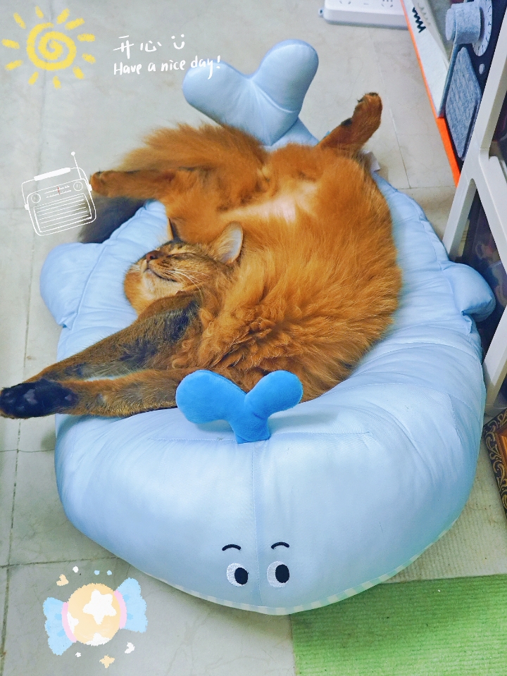 西五街