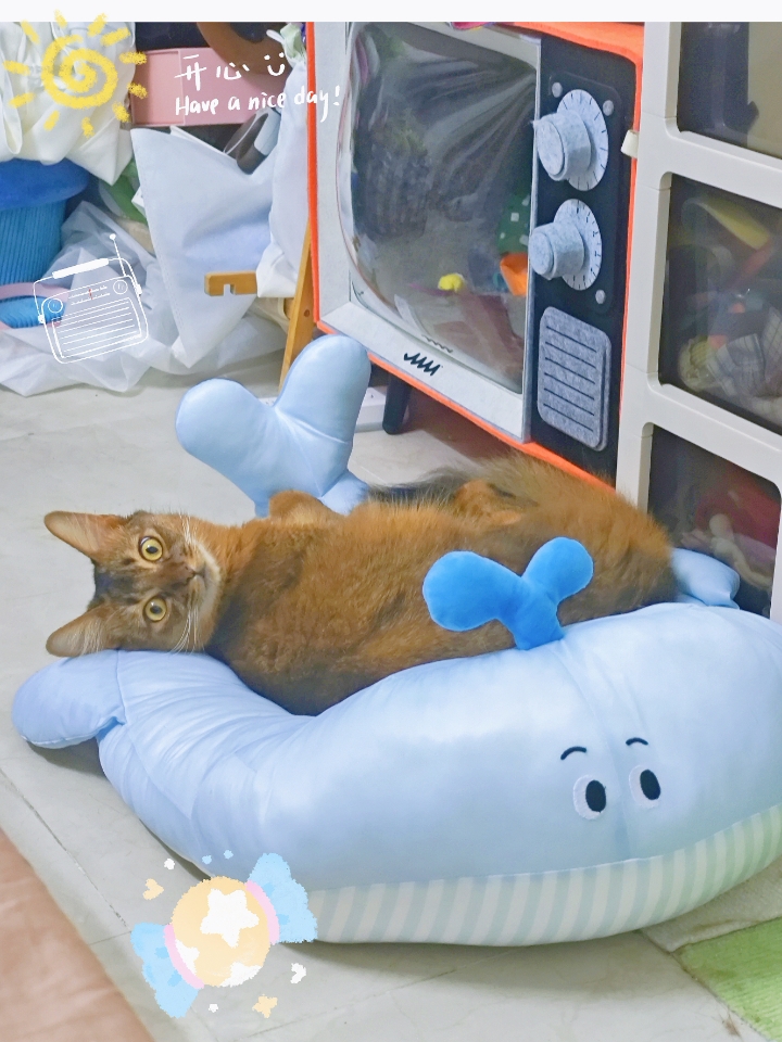 西五街
