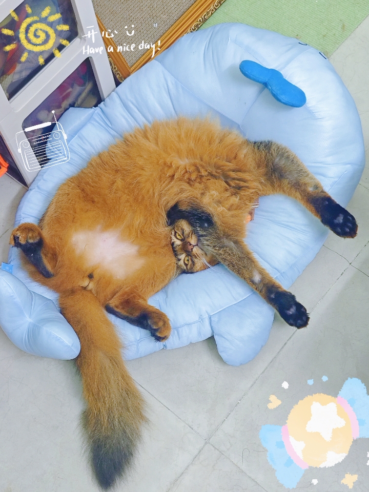 西五街