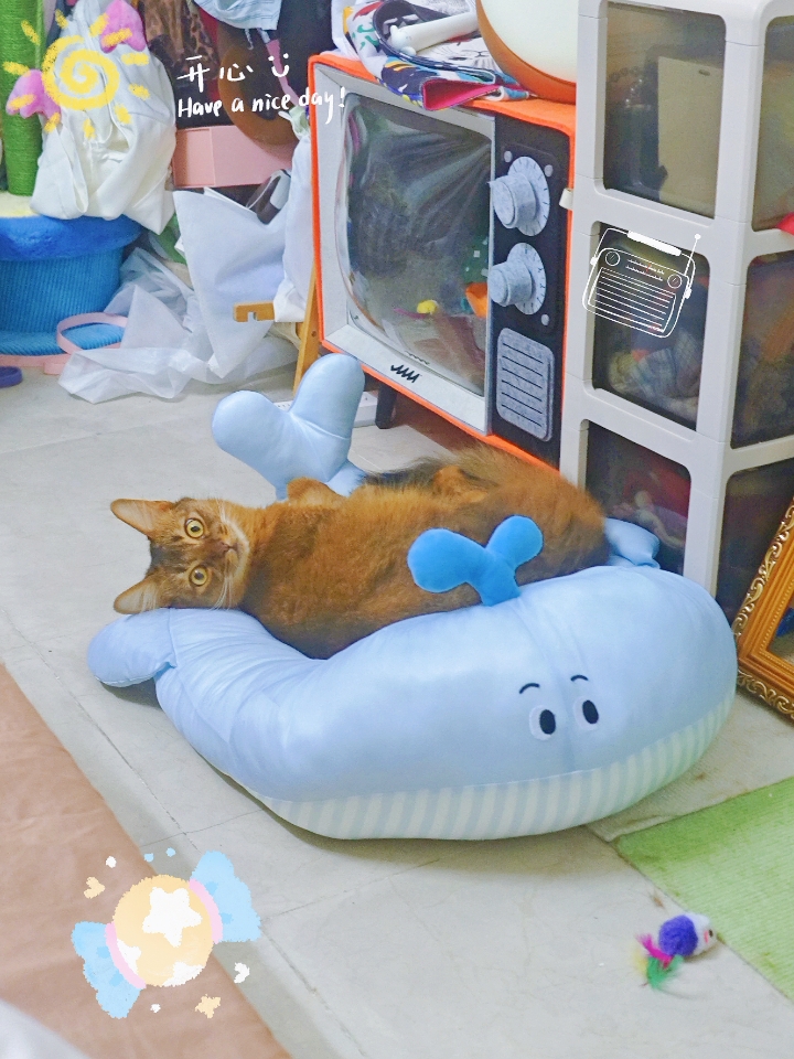 西五街