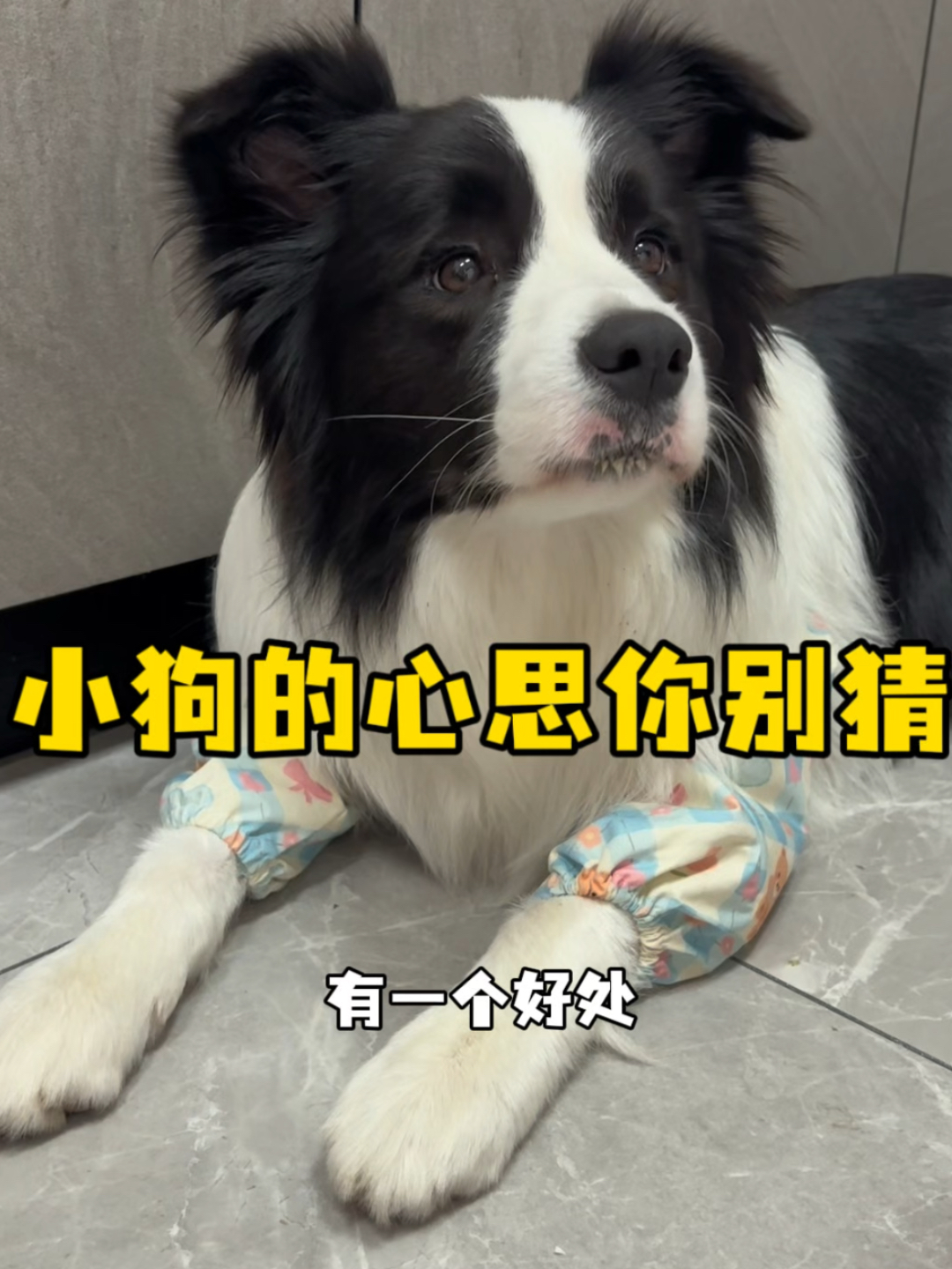 果然得多听听孩子的想法，时常有些意外